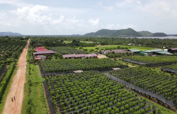 From Phnom Penh to Kampot Day Trip to Beautiful place with Guide